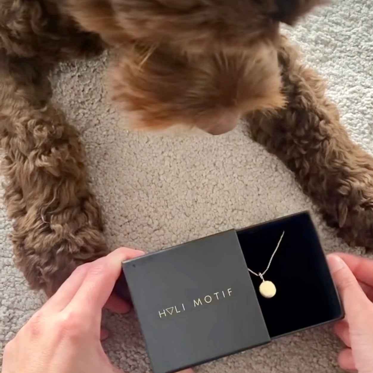 Paw Print Jewellery & Dog Nose Print Jewellery: How Real Pet Impressions Become Keepsakes