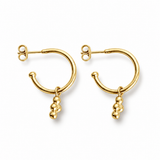 the clover sundry - solid gold